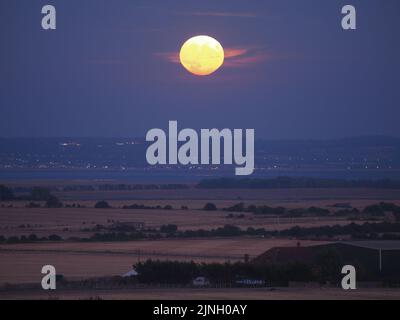 Eastchurch, Kent, Regno Unito. 11th ago, 2022. UK Weather: The full Sturgeon Moon - l'ultima superluna del 2022 - visto salire su campi arroccati in Eastchurch, Kent questa sera. Credit: James Bell/Alamy Live News Foto Stock
