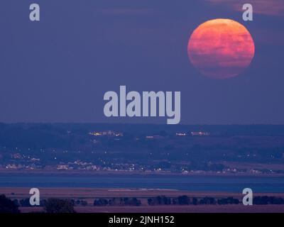 Eastchurch, Kent, Regno Unito. 11th ago, 2022. UK Weather: The full Sturgeon Moon - l'ultima superluna del 2022 - visto salire su campi arroccati in Eastchurch, Kent questa sera. Credit: James Bell/Alamy Live News Foto Stock