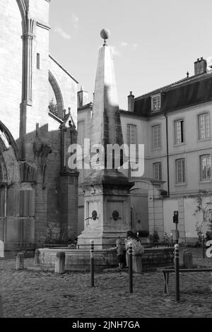 La Fontaine. Eglise Notre-Dame. Place Notre-Dame. Cluny. Saône e Loira. Borgogna. Francia. Europa. Foto Stock