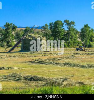 beaverslide pagliaio e trattore nella valle di avon vicino ad avon, montana Foto Stock