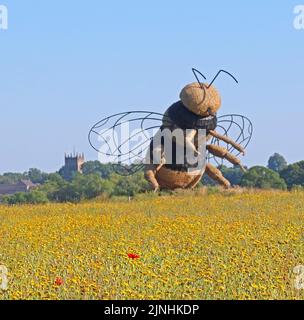 Scultura di paglia di ape in prato di fiori selvatici a Snugburys Ice cream, Park Farm, A51, Hurleston, Nantwich, Cheshire, Inghilterra, Regno Unito, CW5 6BU Foto Stock