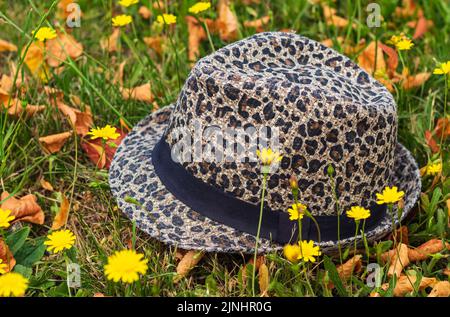 Cappello di paglia e romantico fiore selvatico. Stile di vita in campagna o concetto di relax estivo. Un cappello su uno sfondo verde erba. Nessuno Foto Stock