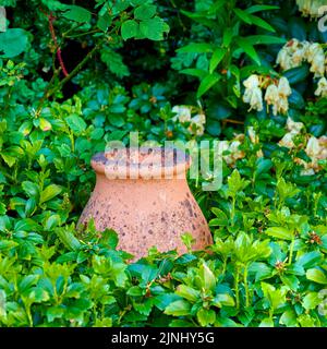 Il prodotto di giardinaggio corretto. Un giardino ben tenuto. Foto Stock