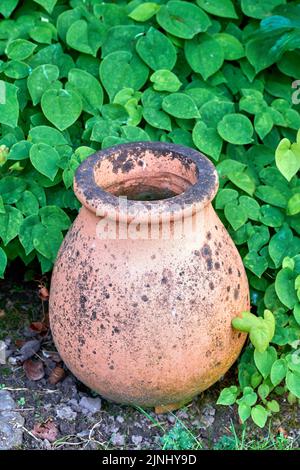 Il prodotto di giardinaggio corretto. Un giardino ben tenuto. Foto Stock