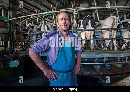 Produttori di latte, Metricup, Margaret River regione dell'Australia Occidentale Foto Stock
