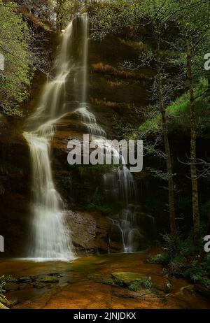 Una bella scena di acqua uguna nel Parco Naturale di Gorbea, Paesi Baschi, Spagna, uno scatto verticale Foto Stock