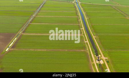 Terra o paesaggio di campo verde in vista aerea. Campo verde, raccolto, pianta agricola. Foto Stock