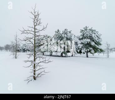 Paesaggio innevato a Madrid a causa della tempesta di neve Filomena. Parco, strade, alberi tutti coperti di neve. Spagna Foto Stock
