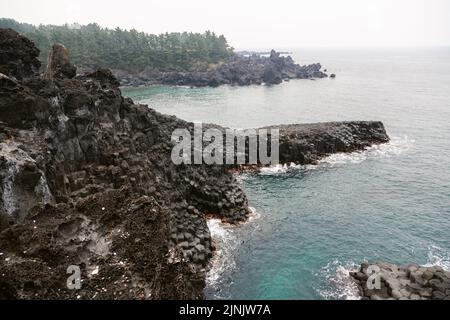 La scogliera di Daepo Jusangjeolli sull'isola di Jeju - la più grande formazione rocciosa a colonna della Corea del Sud Foto Stock