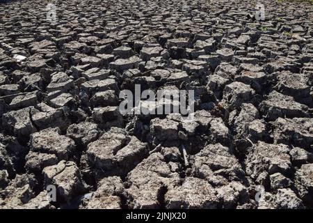 Londra, Regno Unito. 12th agosto 2022. Un grande stagno completamente asciutto nel Wanstead Park nel nord-est di Londra, come una siccità è dichiarata in alcune parti del Regno Unito. Le ondate di calore persistenti derivanti dai cambiamenti climatici indotti dall’uomo hanno colpito gran parte di Londra, con incendi e siccità visibili in tutta la capitale. Credit: Vuk Valcic/Alamy Live News Foto Stock