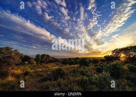 Tramonto dorato con raggi solari e nuvole bianche sul cielo colorato. Foto Stock