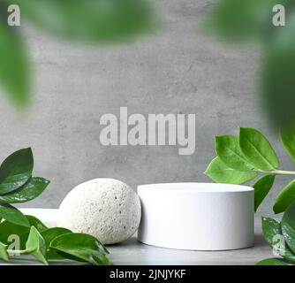 Sfondo cosmetico minimo per la presentazione del prodotto. Podio e foglia verde di zamioculcas su sfondo grigio Foto Stock