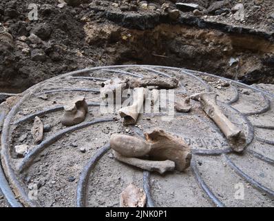 Servizi municipali quando si posa una rete di riscaldamento nel cortile di un edificio di appartamenti trovato ossa umane. San Pietroburgo, Russia, 2007 Foto Stock