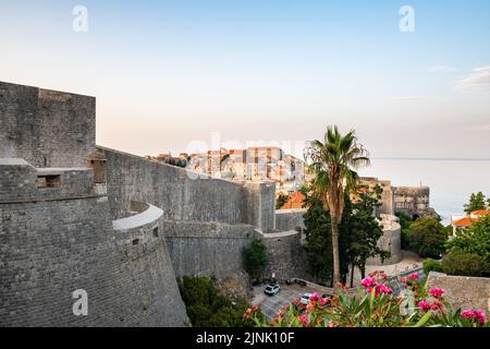 Vista panoramica dell'alba sulla città vecchia di Dubrovnik. Antica cinta muraria e torre Minceta. Famosa destinazione turistica in Croazia. Mattina d'estate, morbido Foto Stock