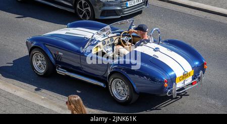 Un AC Cobra in blu con striscia bianca che viene guidato lungo una strada inglese in una calda giornata di sole, chiudere dall'alto. Vista laterale posteriore alta. Cacciavite maschio Foto Stock