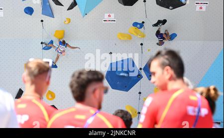 Monaco, Germania. 12th ago, 2022. Campionato europeo, Campionato europeo, arrampicata, piombo, uomini, qualifica, posto re. Gli atleti seguono la qualificazione. Credit: Angelika Warmuth/dpa/Alamy Live News Foto Stock