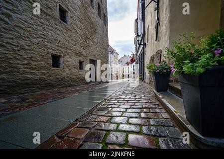 Closeup di strada acciottolata con vecchi edifici dopo la pioggia. Foto Stock