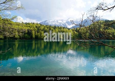 Acqua trasparente verde smeraldo del lago Alatsee a Fussen in Baviera, Germania Foto Stock