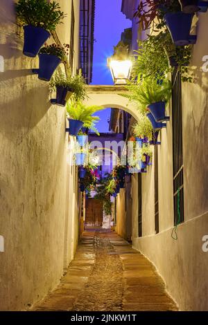 Calleja de las Flores con piante e pentole al crepuscolo nella pittoresca città di Cordoba Spagna. Foto Stock
