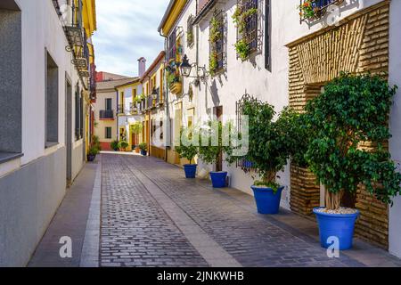 Vicolo con tipiche case andaluse e vasi con fiori e piante. Córdobas, Spagna. Foto Stock