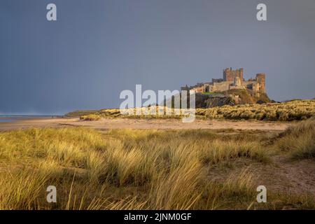 Sud verso il Castello di Bamburgh alla luce del sole serale con un cielo invernale scuro, Northumberland, Inghilterra Foto Stock