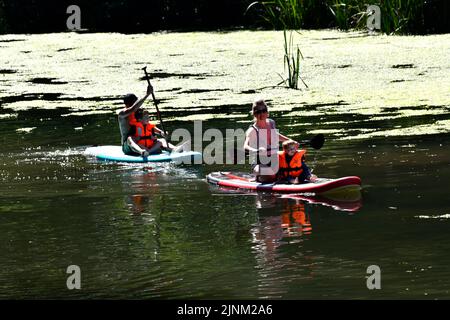 Paddle boarding sul fiume Waters Teme vicino al Dinham Bridge nel Ludlow Shropshire. Credit: Dave Bagnall /Alamy Live News Foto Stock