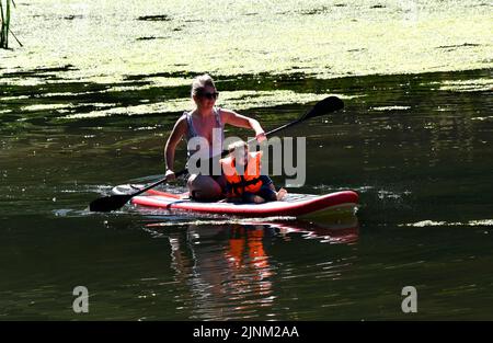 Paddle boarding sul fiume Waters Teme vicino al Dinham Bridge nel Ludlow Shropshire. Credit: Dave Bagnall /Alamy Live News Foto Stock