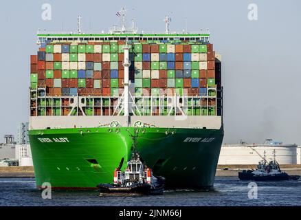 Rotterdam, Paesi Bassi. 12th ago, 2022. 2022-08-12 18:34:54:19 ROTTERDAM - il alot mai arriva nel porto di Rotterdam. La più grande nave container al mondo è lunga 400 metri e larga 61,5 metri e vele per la compagnia di spedizione Evergreen. La nave, commissionata solo quest'anno, può trasportare poco più di 24.000 contenitori standard. ANP REMKO DE WAAL netherlands out - belgium out Credit: ANP/Alamy Live News Foto Stock