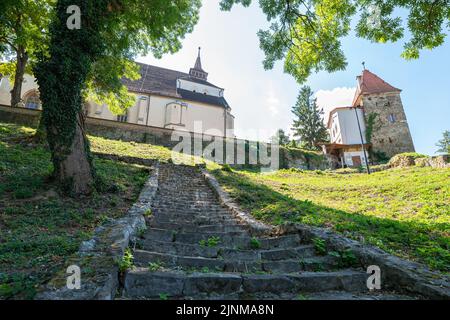 Scale di pietra che conducono alla chiesa sulla collina (rumeno: Biserica din Deal) nella storica città fortificata di Sighisoara in Transilvania, Romania. Foto Stock