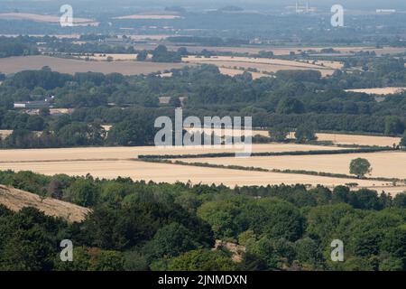 Lewknor, South Oxfordshire, Regno Unito. 12th agosto, 2022. Vista sulla vale di Oxford di terreni agricoli arroccati. Oggi è stata un'altra giornata spaventosa presso la riserva naturale nazionale di Aston Rowant. Le temperature dovrebbero raggiungere i 37 gradi domani e il rischio di incendio è estremo. Credit: Maureen McLean/Alamy Live News Foto Stock