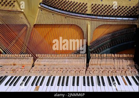 Primo piano delle corde verticali all'interno del pianoforte a coda all'aperto Foto Stock