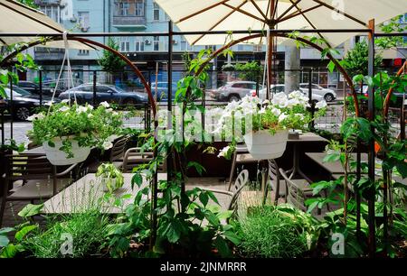 Posto di riposo in strada decorato con piante verdi Foto Stock