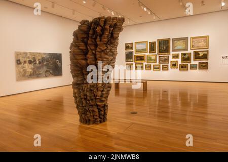 Collezioni Akron Art Museum in Akron Ohio Foto Stock