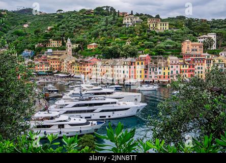 Yacht nella baia portuale, Portofino, Golfo del Tigullio, Riviera di Levante, Liguria, Mar Mediterraneo, Costa Mediterranea, Italia Foto Stock