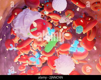 Cellule del sangue con anticorpi e batteri, illustrazione Foto Stock