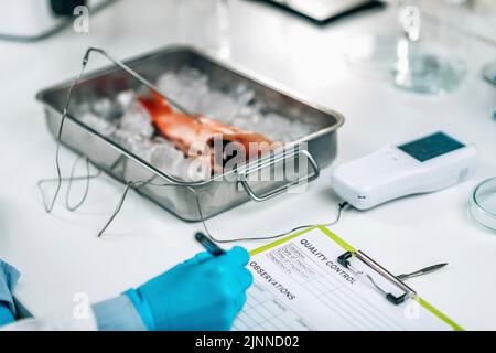 Ispettore di controllo qualità che esamina i pesci Foto Stock