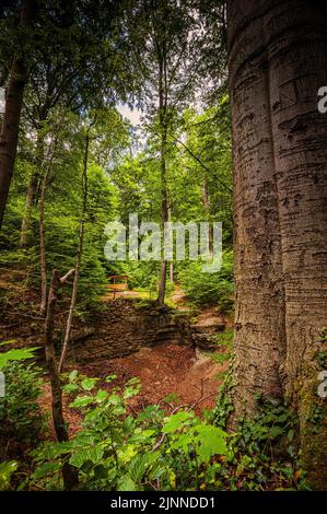 Vista sulla Burschenplatz nella foresta mista sopra Jena, Jena, Turingia, Germania Foto Stock