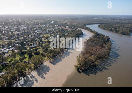 Le acque fangose del fiume Darling si fondono con il possente fiume Murray nella città di Wentworth, nel nuovo Galles del Sud. Foto Stock