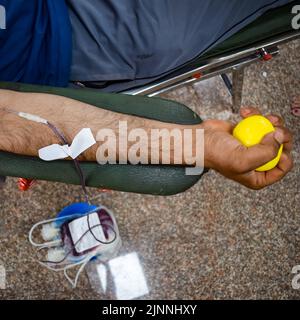 Donatore di sangue al campo di donazione di sangue tenuto con una palla rimbalzante in mano al Tempio Balaji, Vivek Vihar, Delhi, India, Image for World Blood Donor da Foto Stock