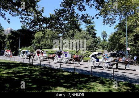 New York, Stati Uniti. 12th ago, 2022. Carrozze a cavallo viste intorno a Central Park a New York City, NY, USA, il 12 agosto 2022. I video che mostrano un cavallo sono crollati in mezzo alla strada durante l'ora di punta e la polizia annaffiare il cavallo caduto hanno avuto gruppi per i diritti degli animali protestare fuori dal Municipio il Giovedi. L'incidente di mercoledì riacceso chiede alla città di vietare le carrozze a cavallo a New York City. Foto di Charles Guerin/ABACAPRESS.COM Credit: Abaca Press/Alamy Live News Foto Stock