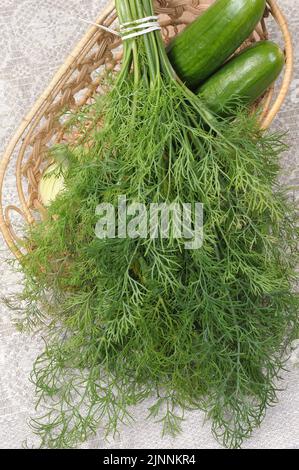 Un mazzo di aneto fresco e fragrante in un cestino sul tavolo da cucina Foto Stock