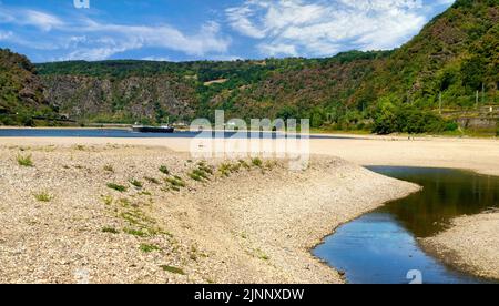 Siccità in Germania. Bassa acqua del Reno da Oberwesel, Renania-Palatinato Foto Stock