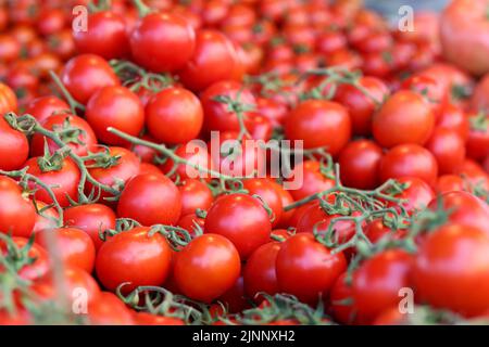 Pomodori ciliegini maturi con foglie verdi sul mercato Foto Stock