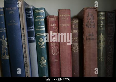 Vecchie copertine e spine del libro su uno scaffale. soggiorno polveroso Foto Stock