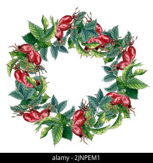 Corona acquerello con ramo di rosa canina, bacche rosse e foglie verdi. Radica dipinta a mano e fianchi isolati su sfondo bianco. Illustrazione per de Foto Stock