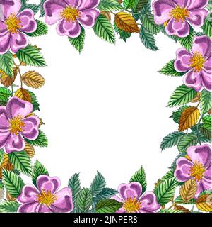 Corona acquerello con ramo di rosa canina, bacche rosse, fiori in fiore e foglie verdi. Radica dipinta a mano e fianchi isolati su sfondo bianco. IO Foto Stock