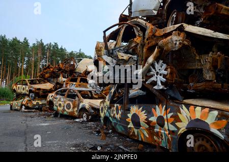 Non esclusiva: IRPIN, UCRAINA - 11 AGOSTO 2022 - i girasoli dipinti dagli artisti sono visti sulle automobili girate dai russi durante i in scala completa della Russia Foto Stock