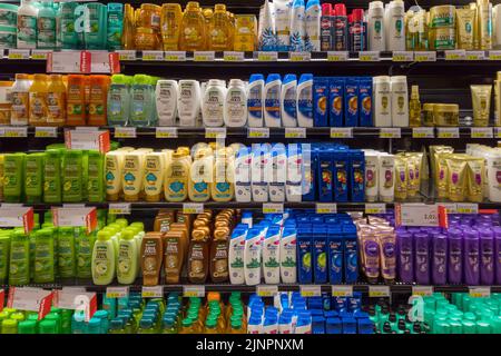 Fossano, Italia - 11 agosto 2022: Diversi marchi e tipi di shampoo per capelli in vendita sullo scaffale di un supermercato italiano Foto Stock