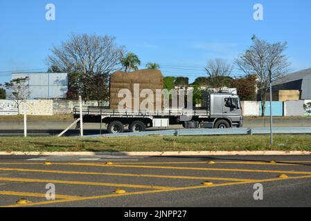 Camion di trasporto con corpo in legno su autostrada brasiliana, vista laterale, sfondo con sfocatura intenzionale, asfalto in primo piano con segnaletica, autostrada in ur Foto Stock