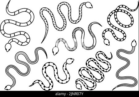 Silhouette in serpente nero. Illustrazione dei rettili tossici tropicali. Serpenti velenosi disegnati a mano scuro per il disegno del tatuaggio. Pericolosi serpenti esotici Illustrazione Vettoriale